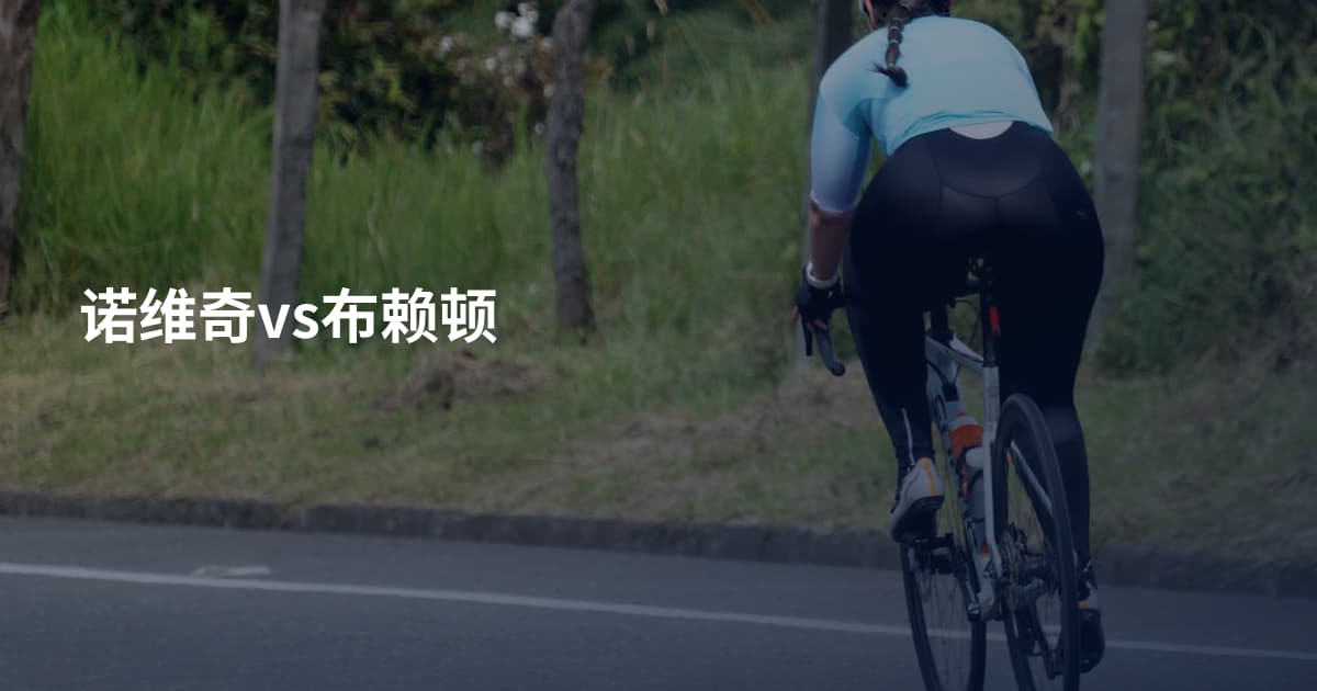 诺维奇vs布赖顿