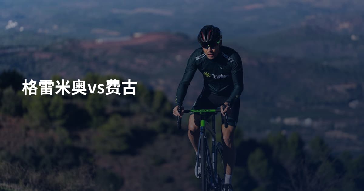 格雷米奥vs费古