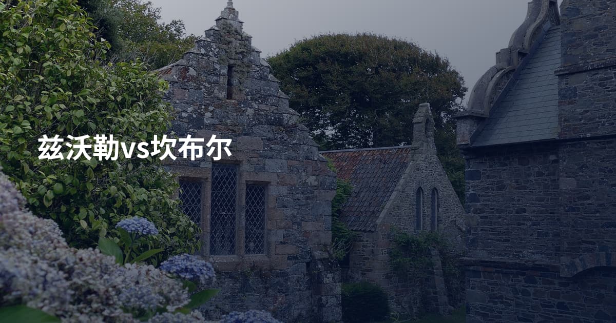 兹沃勒vs坎布尔