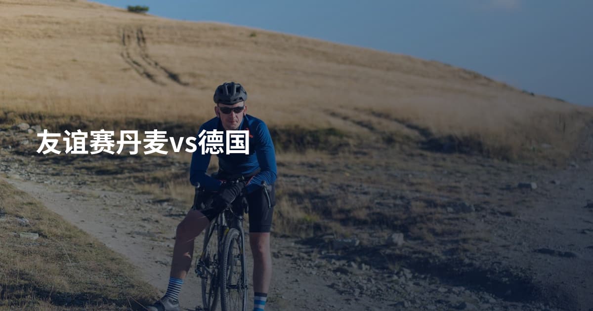 友谊赛丹麦vs德国