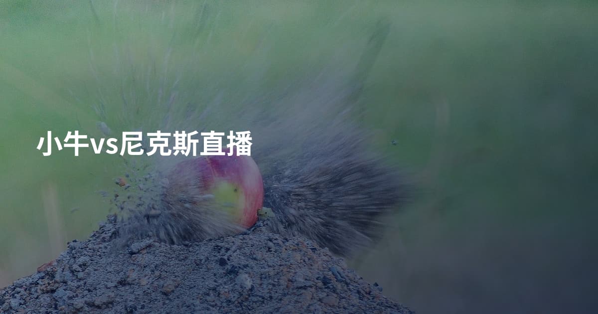 小牛vs尼克斯直播