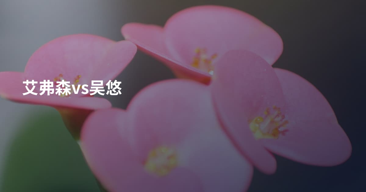 艾弗森vs吴悠