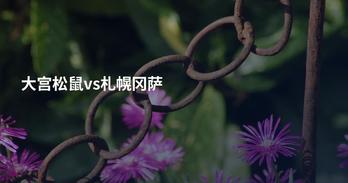 大宫松鼠vs札幌冈萨