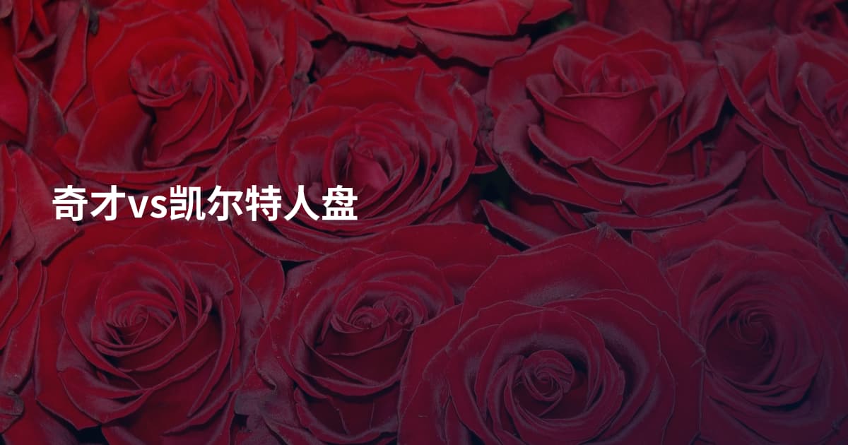 奇才vs凯尔特人盘