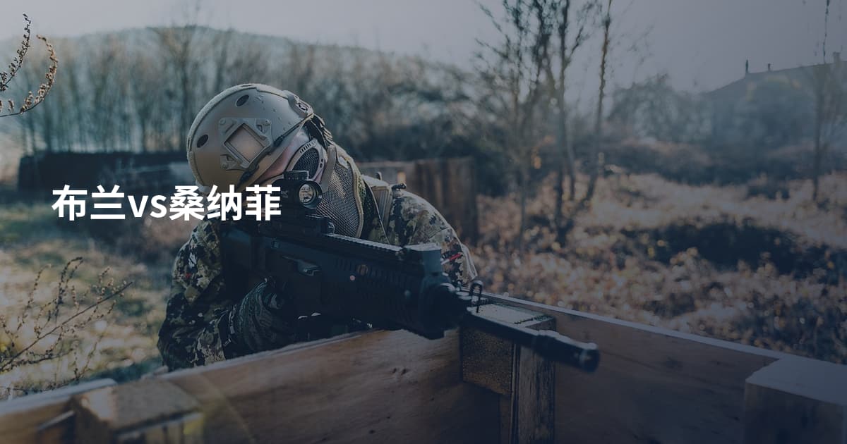 布兰vs桑纳菲