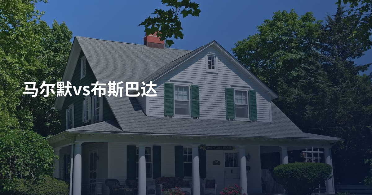 马尔默vs布斯巴达