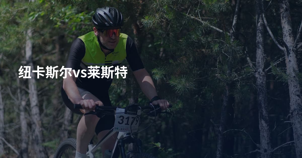 纽卡斯尔vs莱斯特