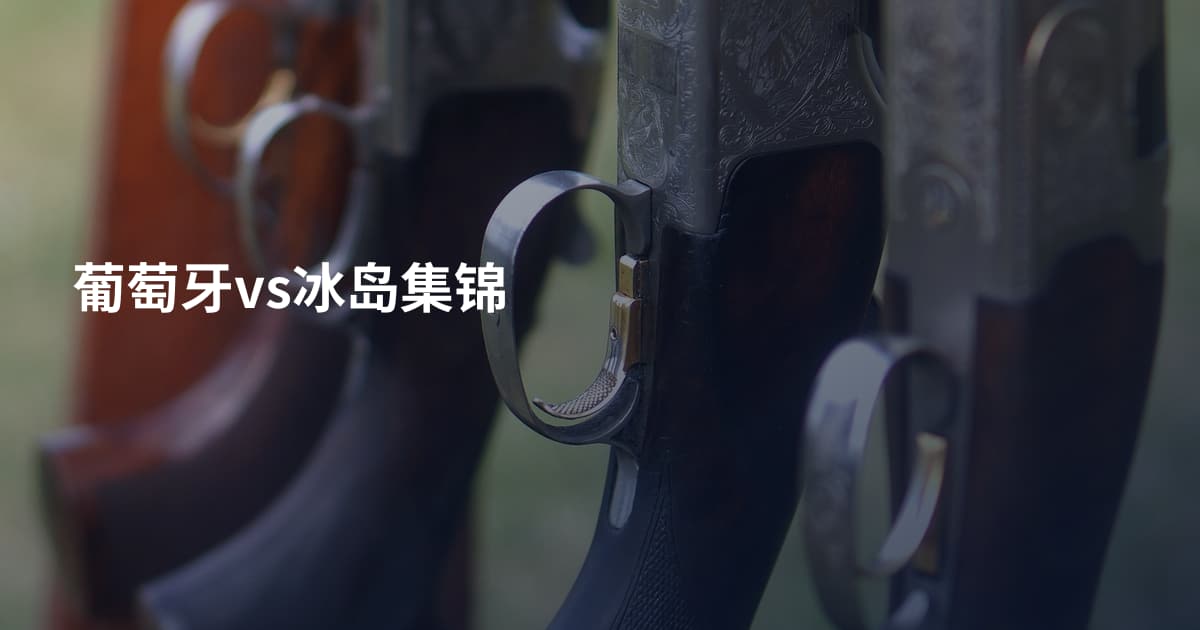 葡萄牙vs冰岛集锦