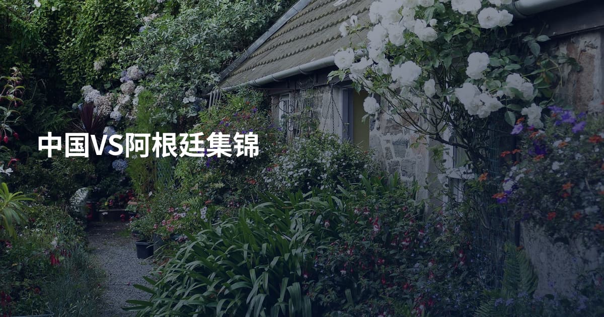 中国VS阿根廷集锦
