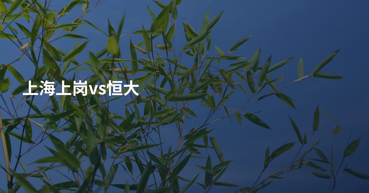 上海上岗vs恒大