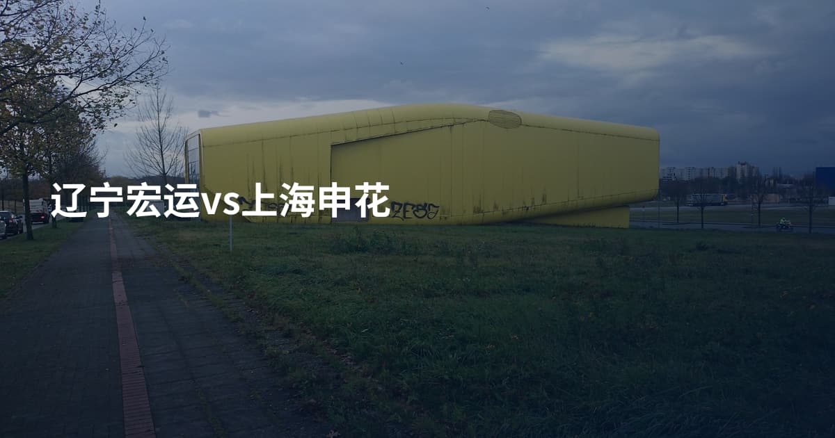 辽宁宏运vs上海申花