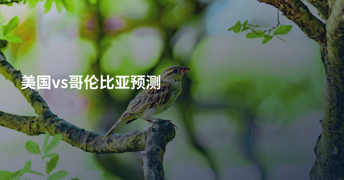 美国vs哥伦比亚预测