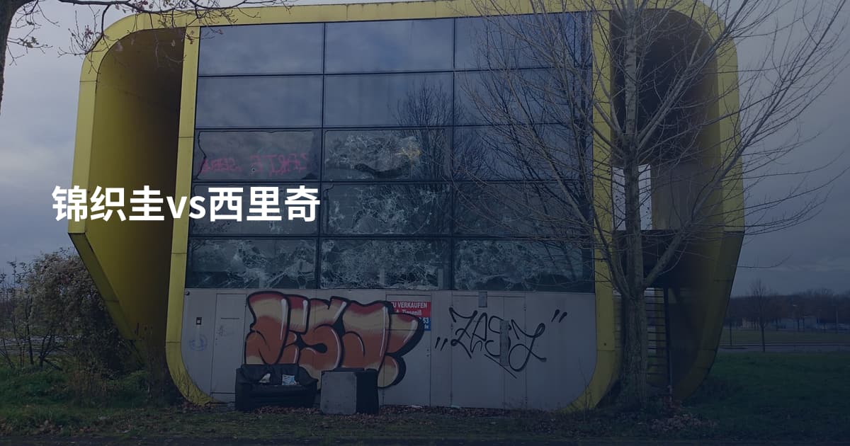 锦织圭vs西里奇
