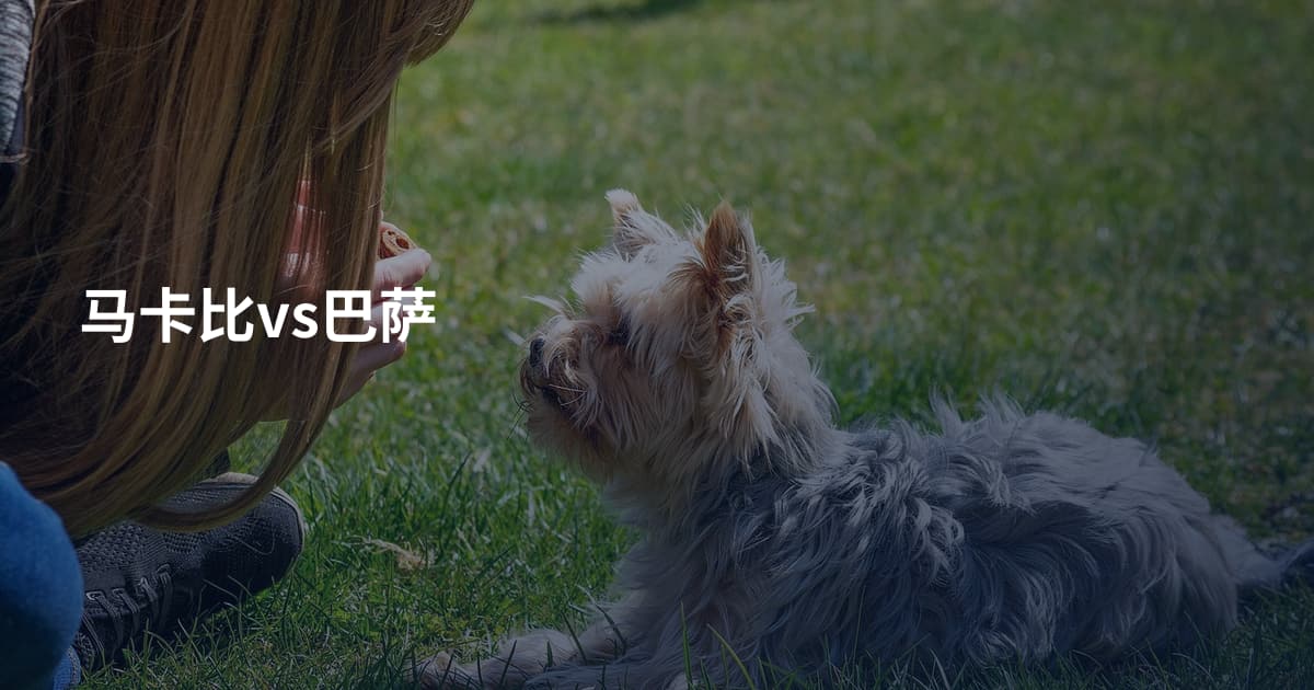 马卡比vs巴萨
