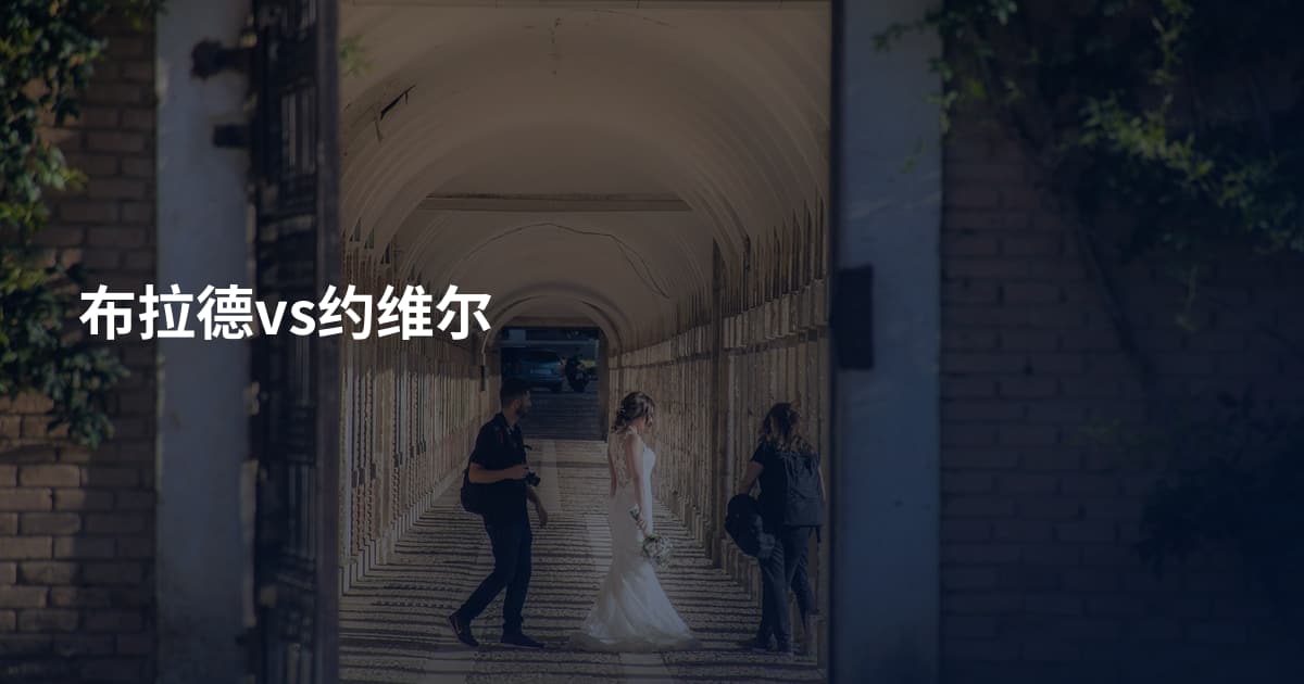 布拉德vs约维尔