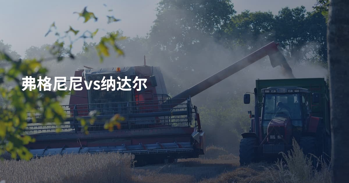 弗格尼尼vs纳达尔