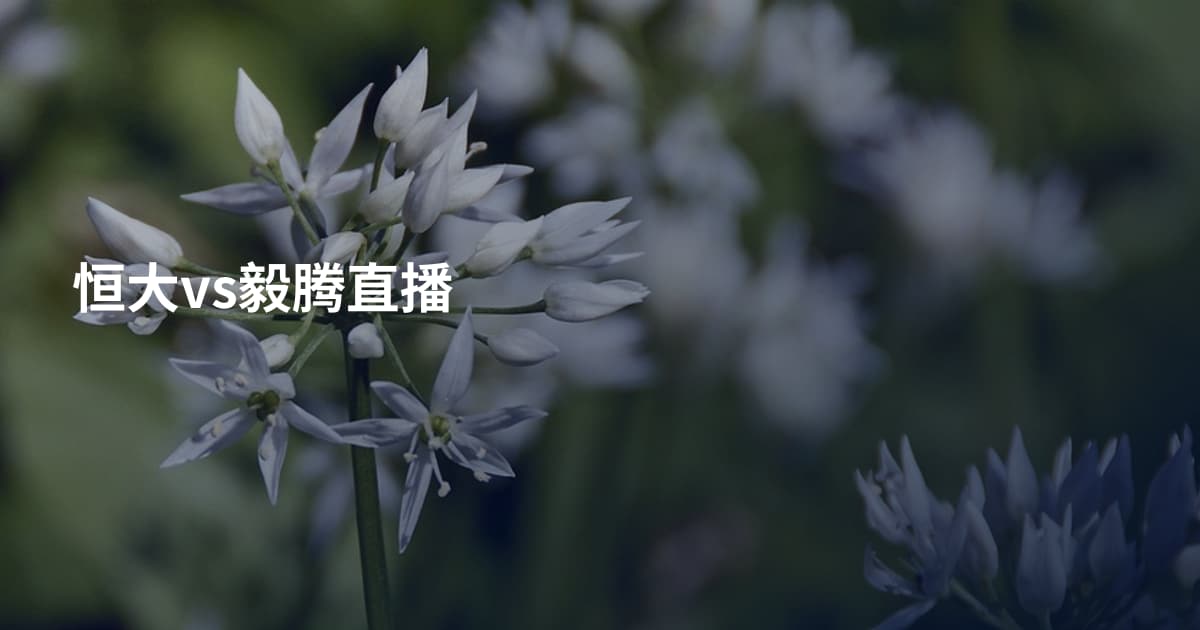 恒大vs毅腾直播