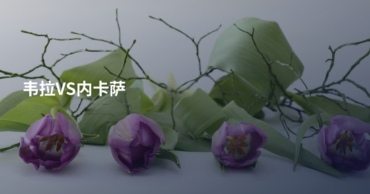 韦拉VS内卡萨