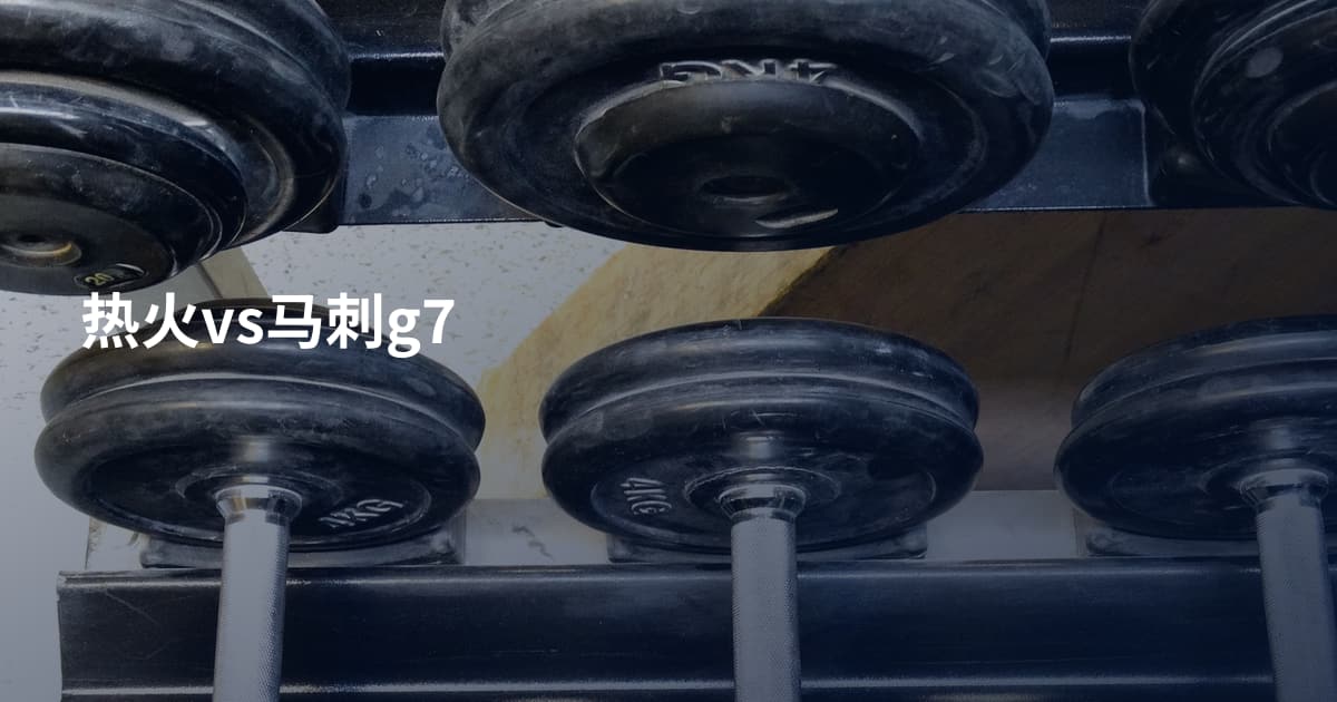 热火vs马刺g7
