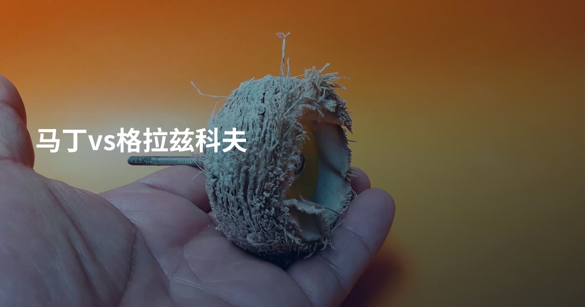 马丁vs格拉兹科夫