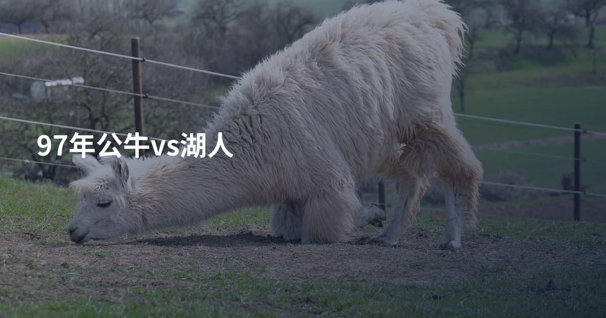97年公牛vs湖人