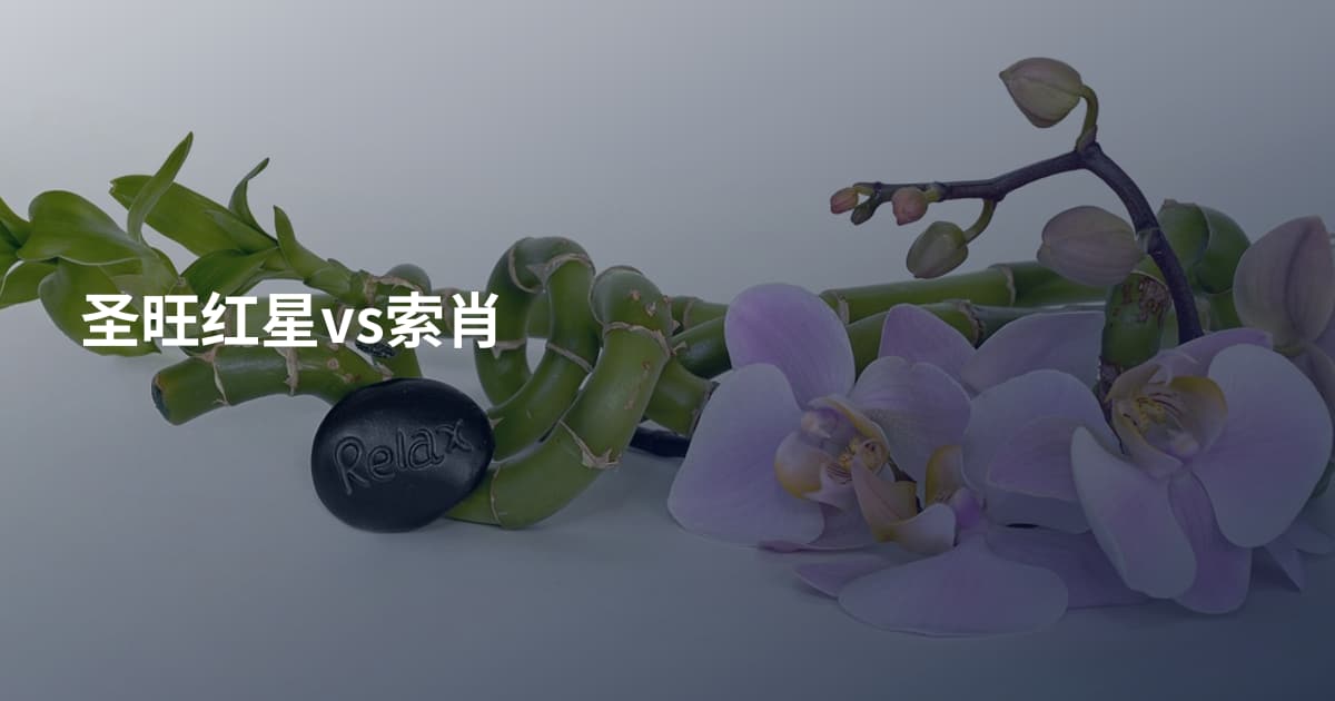 圣旺红星vs索肖