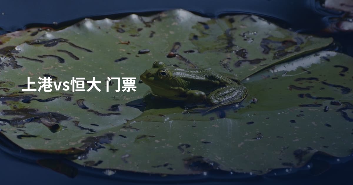 上港vs恒大 门票