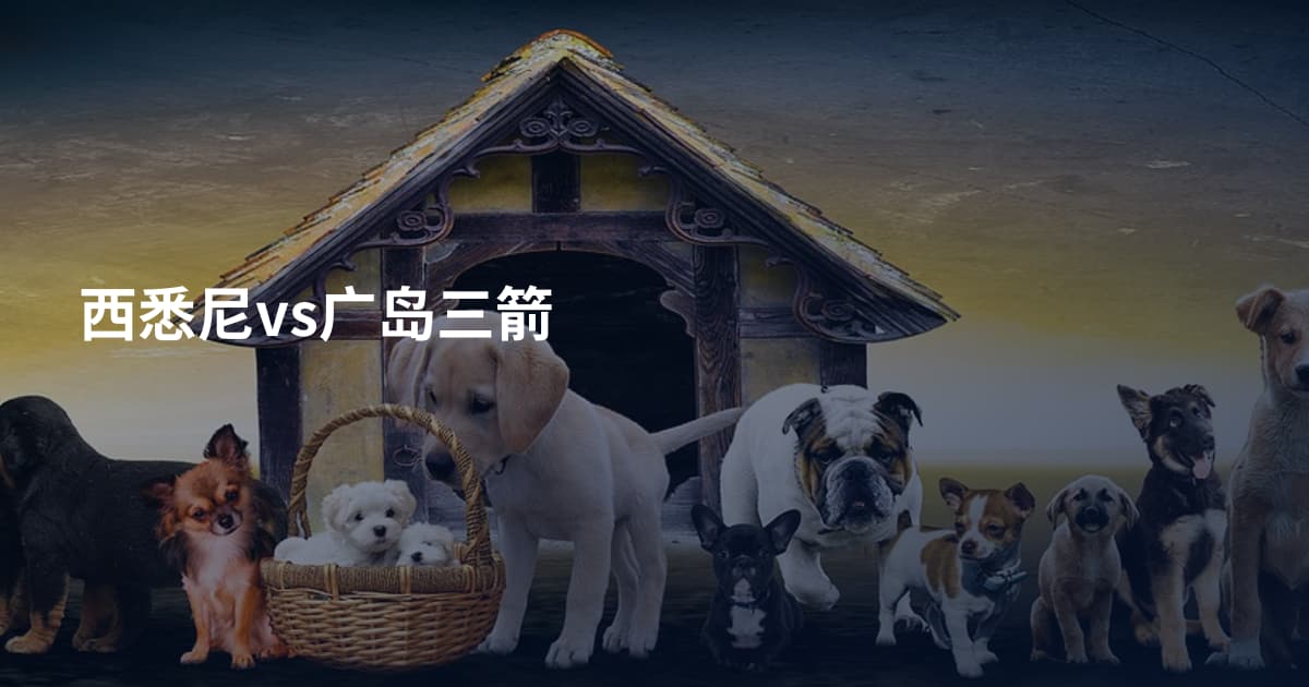 西悉尼vs广岛三箭