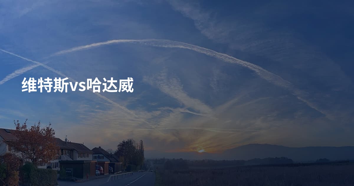 维特斯vs哈达威