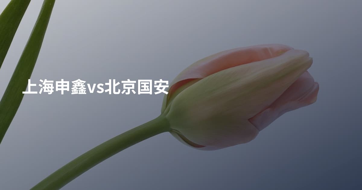 上海申鑫vs北京国安