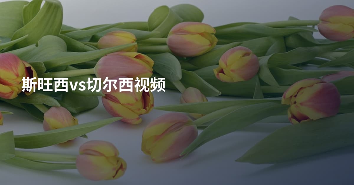 斯旺西vs切尔西视频