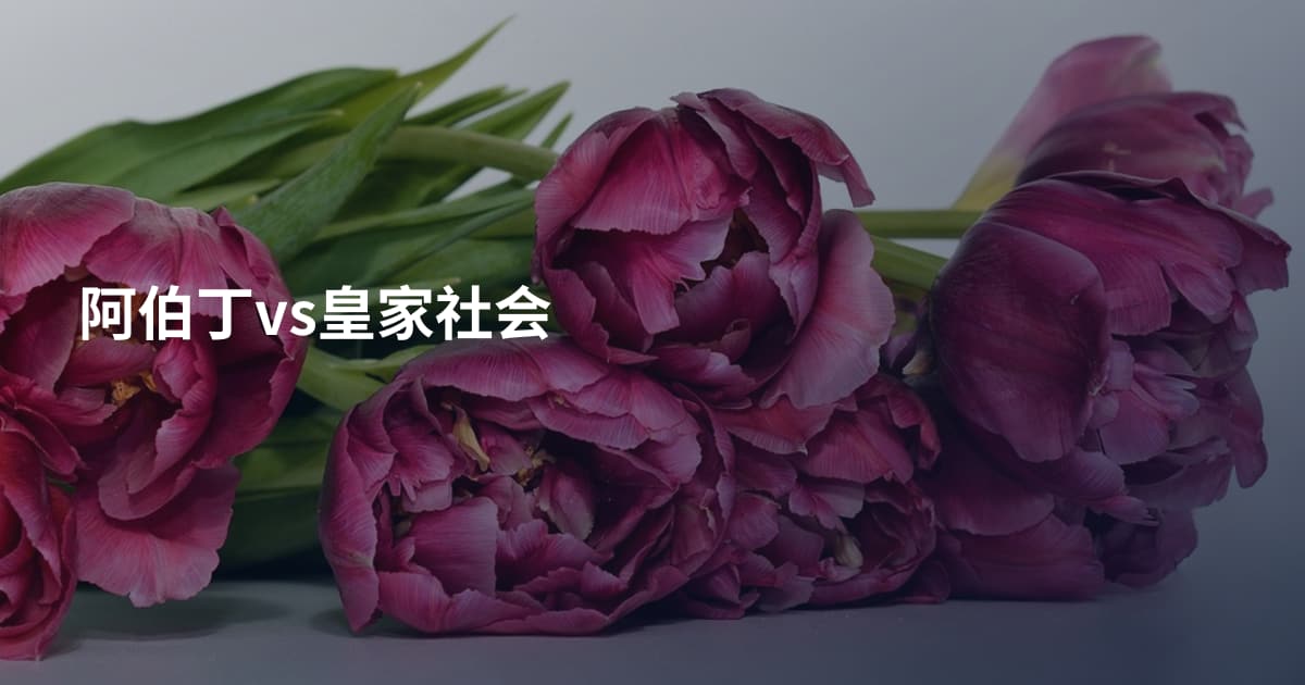 阿伯丁vs皇家社会