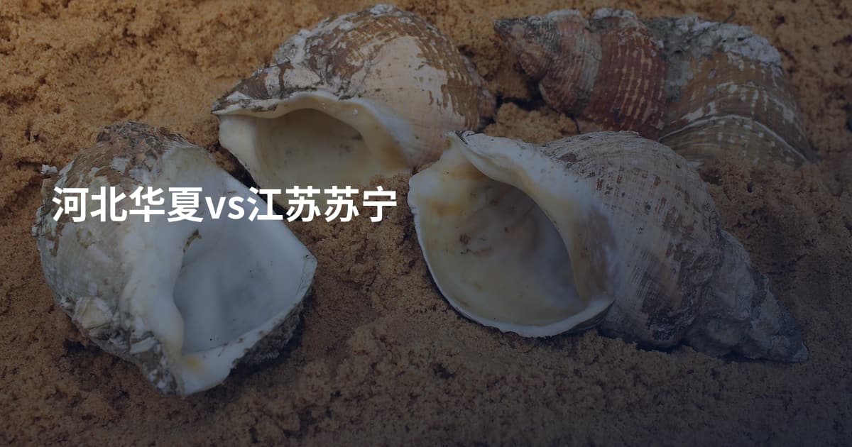 河北华夏vs江苏苏宁