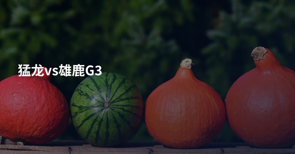 猛龙vs雄鹿G3