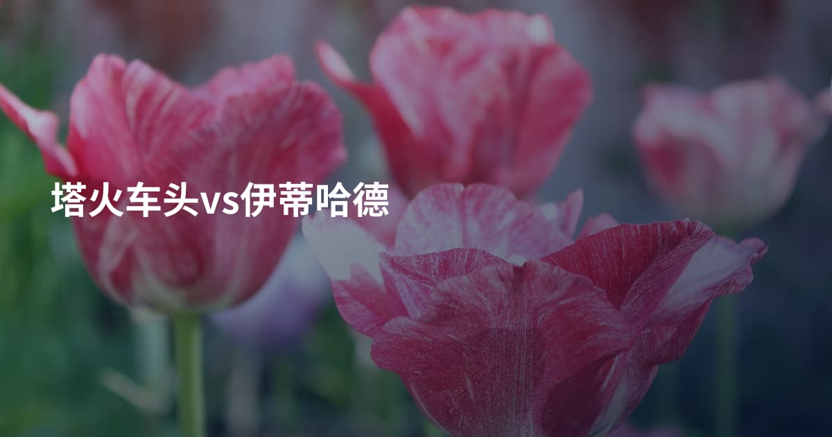 塔火车头vs伊蒂哈德