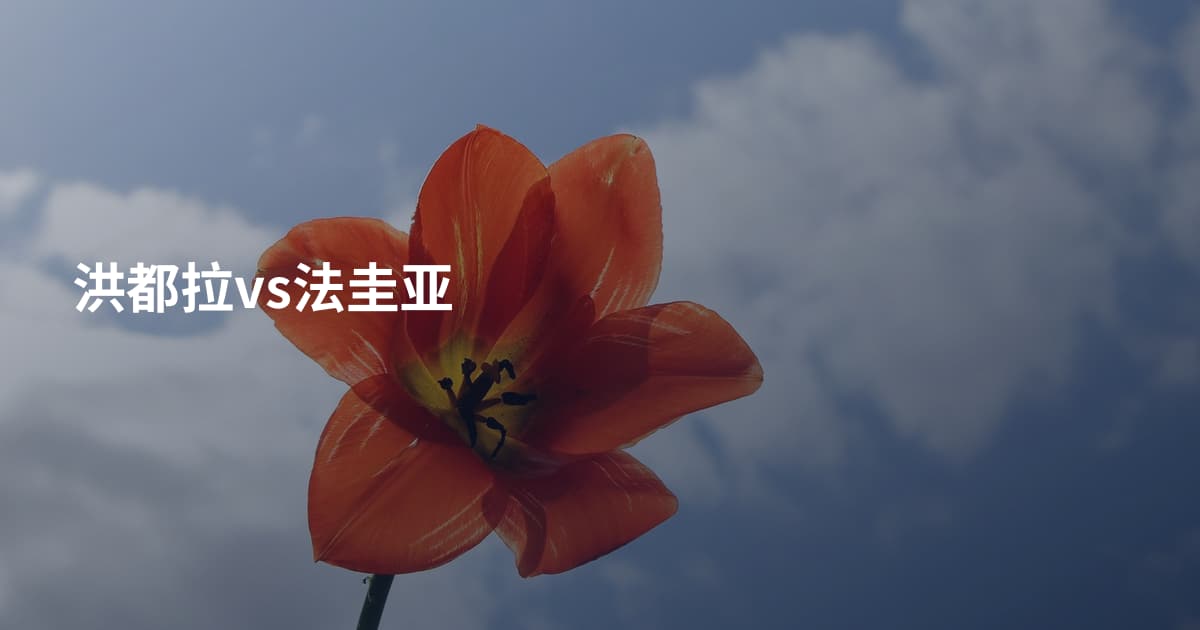 洪都拉vs法圭亚