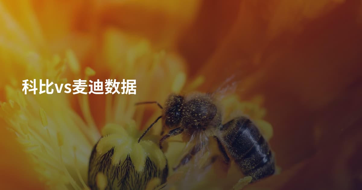 科比vs麦迪数据