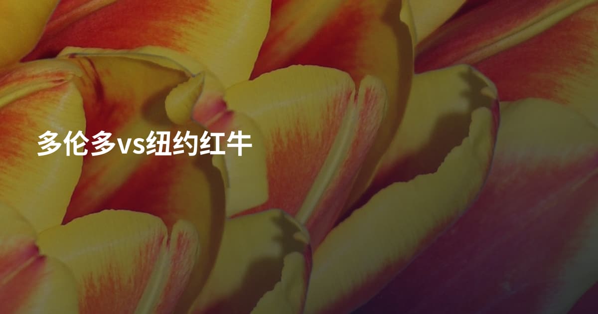 多伦多vs纽约红牛