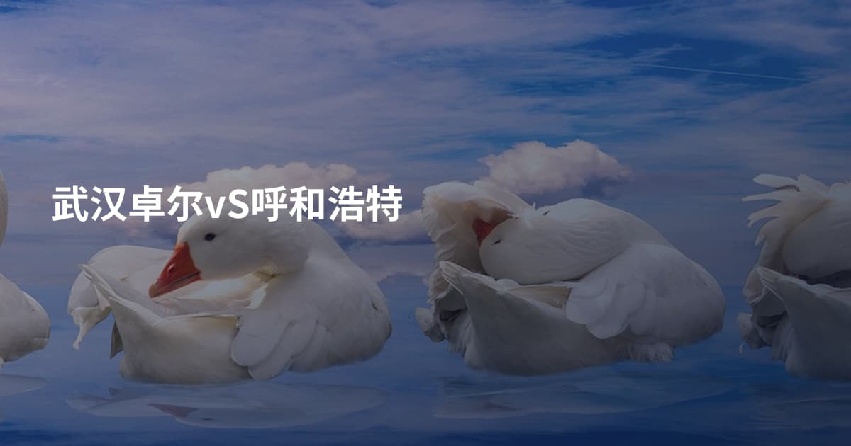 武汉卓尔vS呼和浩特
