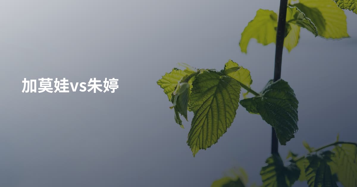 加莫娃vs朱婷