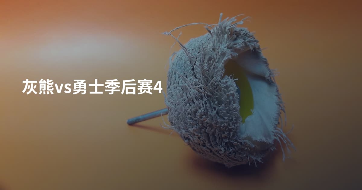 灰熊vs勇士季后赛4