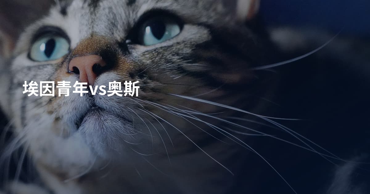 埃因青年vs奥斯