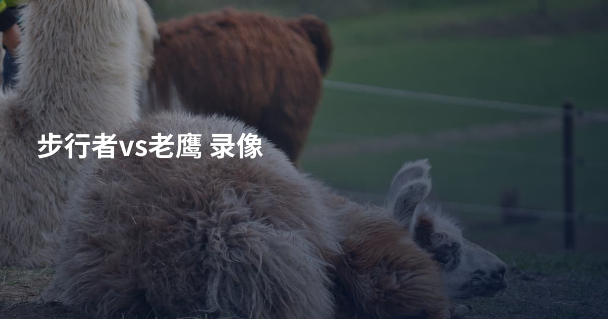 步行者vs老鹰 录像