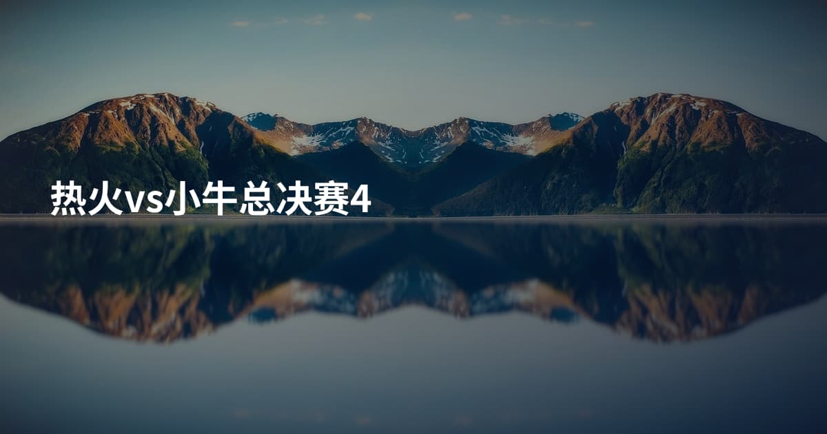 热火vs小牛总决赛4