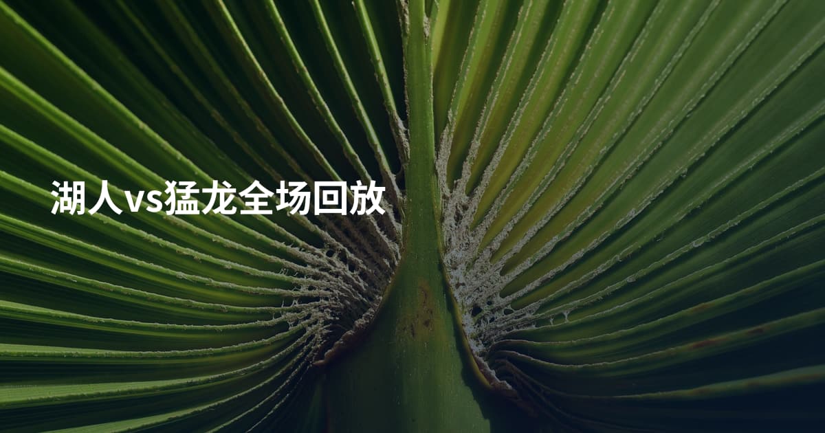 湖人vs猛龙全场回放