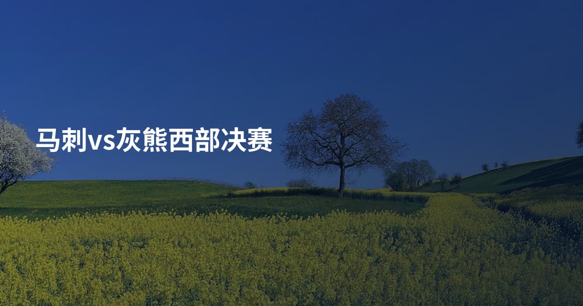 马刺vs灰熊西部决赛