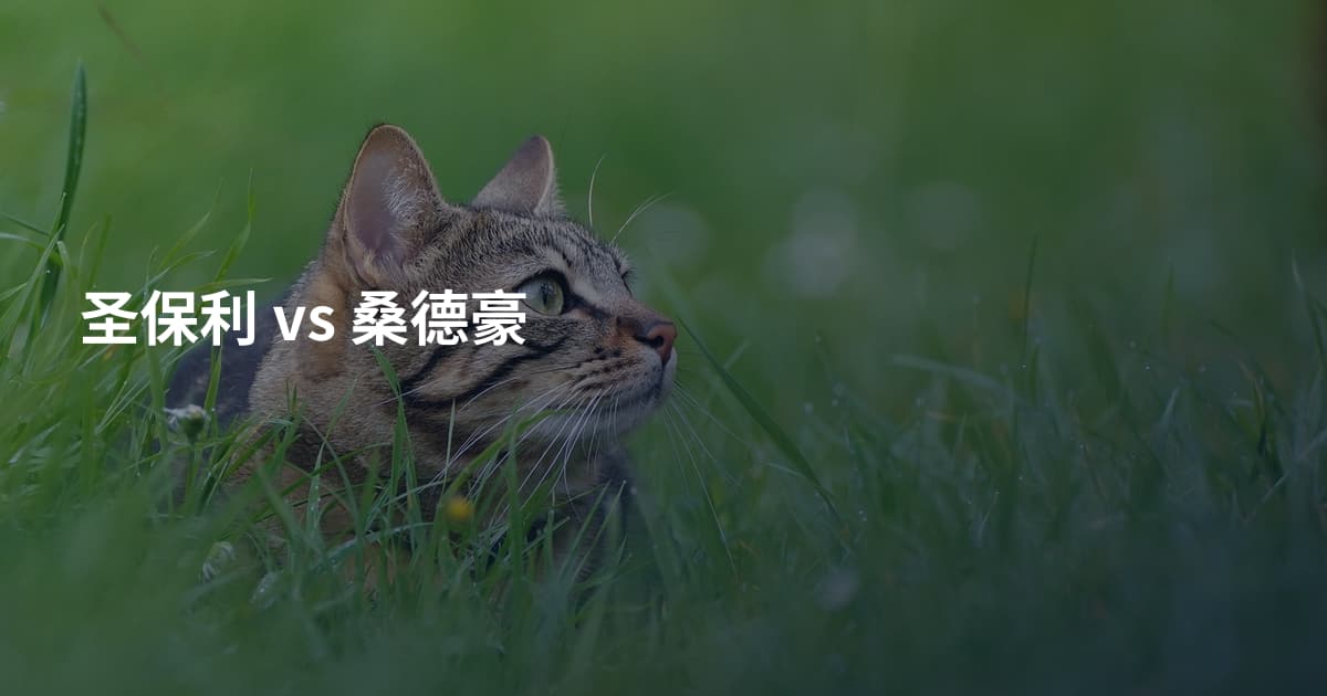 圣保利 vs 桑德豪