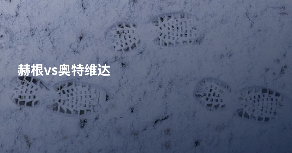赫根vs奥特维达