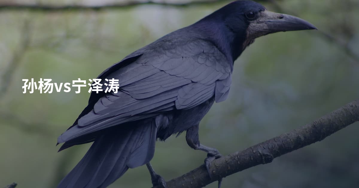 孙杨vs宁泽涛