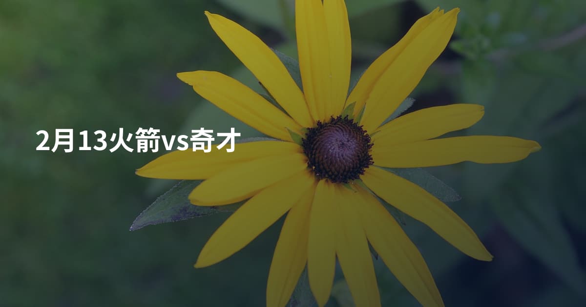 2月13火箭vs奇才